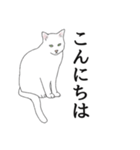 なかよし3にゃんず(リアル)（個別スタンプ：5）