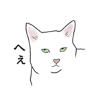 なかよし3にゃんず(リアル)（個別スタンプ：8）
