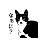 なかよし3にゃんず(リアル)（個別スタンプ：10）