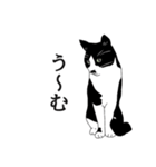 なかよし3にゃんず(リアル)（個別スタンプ：11）