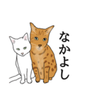 なかよし3にゃんず(リアル)（個別スタンプ：14）