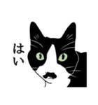 なかよし3にゃんず(リアル)（個別スタンプ：15）