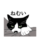 なかよし3にゃんず(リアル)（個別スタンプ：16）