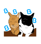 なかよし3にゃんず(リアル)（個別スタンプ：19）