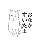 なかよし3にゃんず(リアル)（個別スタンプ：20）