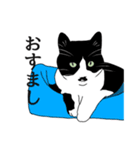 なかよし3にゃんず(リアル)（個別スタンプ：21）