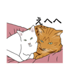 なかよし3にゃんず(リアル)（個別スタンプ：23）