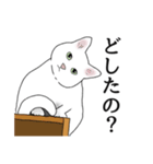 なかよし3にゃんず(リアル)（個別スタンプ：24）