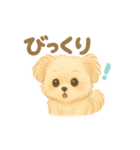 ポメプー うーたん（個別スタンプ：4）