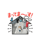 コロマルくん2（個別スタンプ：5）
