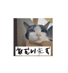 かわいいハチワレねこのすたんぷ（個別スタンプ：5）