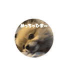 ロアうに動くスタンプ（個別スタンプ：2）