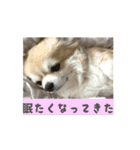 ロアうに動くスタンプ（個別スタンプ：6）