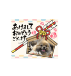 ロアうに動くスタンプ（個別スタンプ：16）