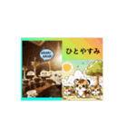 #ワクワクきらめき Collection 6（個別スタンプ：6）