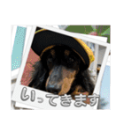 R.O.Nの日常（個別スタンプ：3）