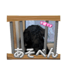 R.O.Nの日常（個別スタンプ：6）