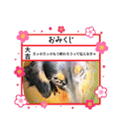 R.O.Nの日常（個別スタンプ：14）