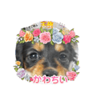 R.O.Nの日常（個別スタンプ：17）
