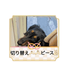 R.O.Nの日常（個別スタンプ：24）