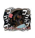 R.O.Nの日常（個別スタンプ：25）