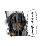 R.O.Nの日常（個別スタンプ：27）