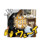R.O.Nの日常（個別スタンプ：29）