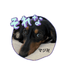 R.O.Nの日常（個別スタンプ：30）