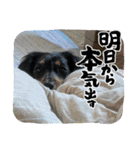 R.O.Nの日常（個別スタンプ：32）