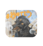R.O.Nの日常（個別スタンプ：33）