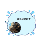 R.O.Nの日常（個別スタンプ：35）