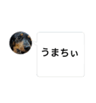 R.O.Nの日常（個別スタンプ：36）