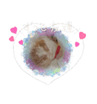 R.O.Nの日常（個別スタンプ：39）