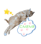 Ko-tzy Vol.4（個別スタンプ：9）