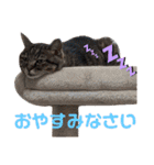 Ko-tzy Vol.4（個別スタンプ：13）