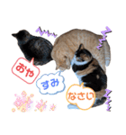 Ko-tzy Vol.4（個別スタンプ：14）