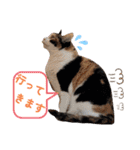 Ko-tzy Vol.4（個別スタンプ：16）