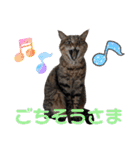 Ko-tzy Vol.4（個別スタンプ：25）