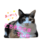 Ko-tzy Vol.4（個別スタンプ：26）