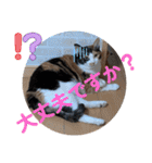 Ko-tzy Vol.4（個別スタンプ：33）