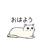 シュール猫の日常会話（個別スタンプ：1）