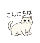 シュール猫の日常会話（個別スタンプ：2）