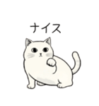 シュール猫の日常会話（個別スタンプ：4）