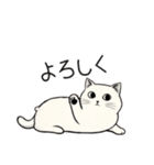 シュール猫の日常会話（個別スタンプ：5）