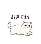 シュール猫の日常会話（個別スタンプ：9）