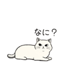 シュール猫の日常会話（個別スタンプ：10）