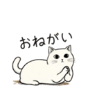 シュール猫の日常会話（個別スタンプ：11）