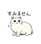 シュール猫の日常会話（個別スタンプ：12）