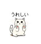 シュール猫の日常会話（個別スタンプ：17）
