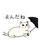 シュール猫の日常会話（個別スタンプ：22）